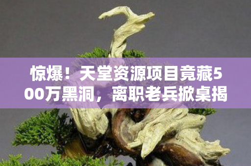 天堂资源项目竟藏500万黑洞图片