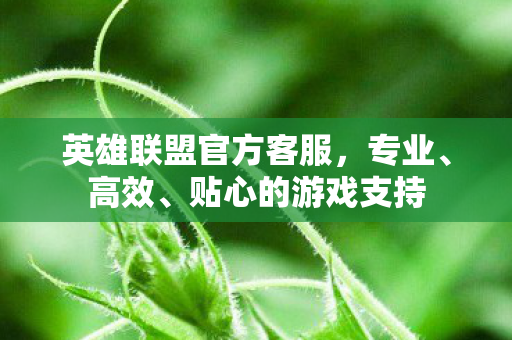 英雄联盟官方客服，专业、高效、贴心的游戏支持