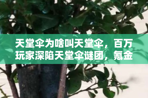 氪金大佬与零氪肝帝集体破防图片