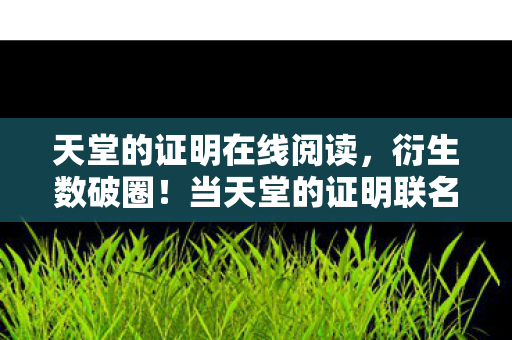 当天堂的证明联名款掏空我钱包图片