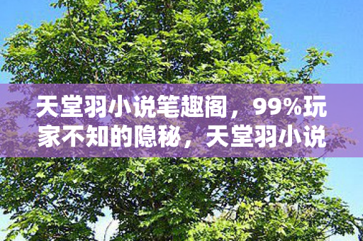 天堂羽小说笔趣阁图片