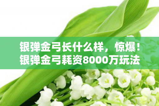 银弹金弓耗资8000万玩法被砍图片