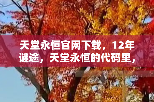 藏着多少未寄出的泪目情书图片