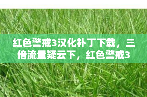 红色警戒3汉化补丁背后的资本寒心局图片