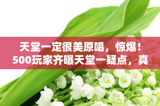 500玩家齐曝天堂一疑点图片