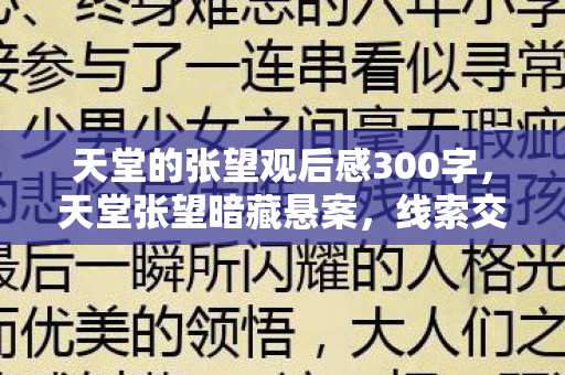 天堂的张望观后感300字图片