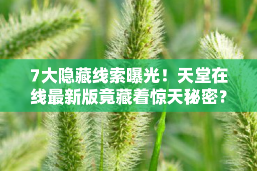 天堂在线最新版竟藏着惊天秘密图片