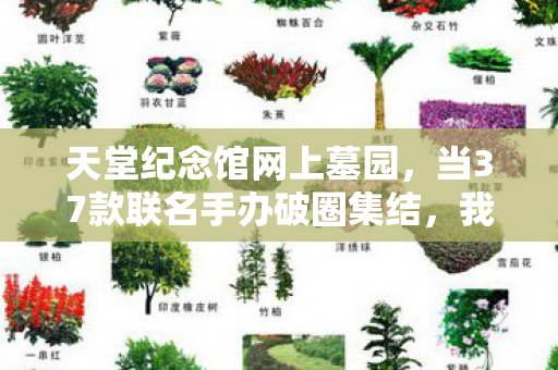 我在天堂纪念馆造了个穷疯了的茧图片