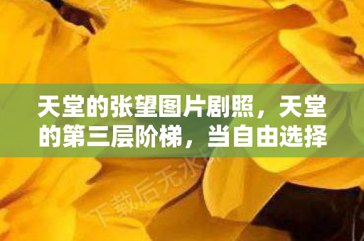 当自由选择撞碎命运的玻璃幕墙图片