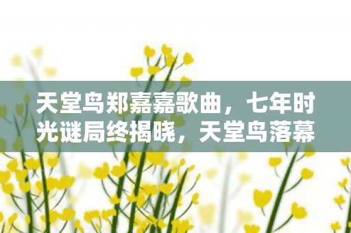 七年时光谜局终揭晓图片