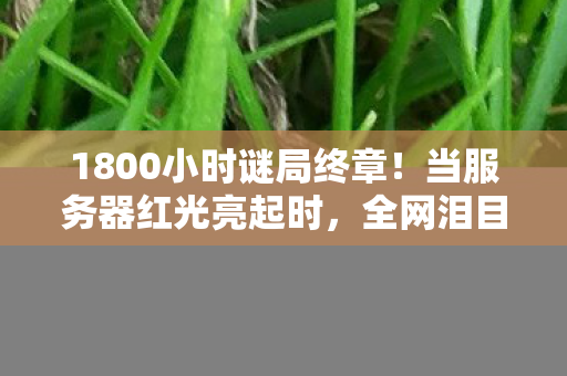 1800小时谜局终章图片