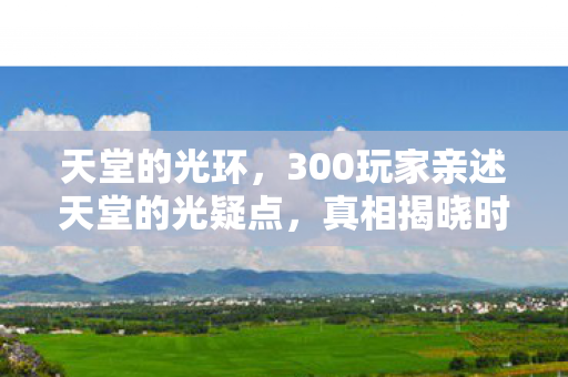 300玩家亲述天堂的光疑点图片