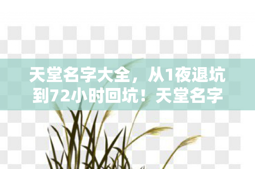 天堂名字的魔力让我彻底沦陷图片