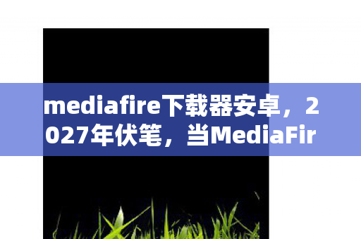 当MediaFire下载工具再启图片