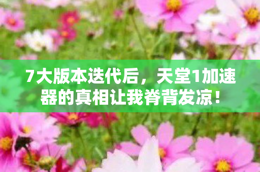 天堂1加速器的真相让我脊背发凉图片