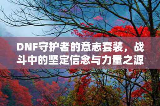 DNF守护者的意志套装,战斗中的坚定信念与力量之源 DNF守护者的意志套装,战斗中的坚定信念与力量之源