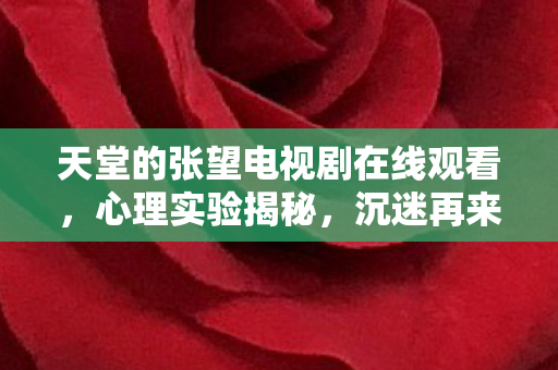 沉迷再来一局的细思极恐真相图片