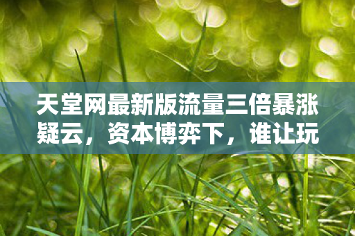 天堂网最新版流量三倍暴涨疑云图片