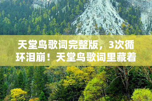天堂鸟歌词里藏着的10种极致孤独与救赎图片