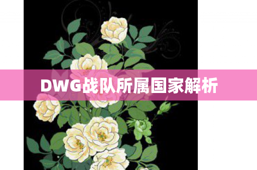 DWG战队所属国家解析 DWG战队所属国家解析