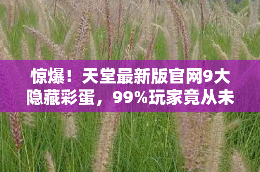 天堂最新版官网9大隐藏彩蛋图片