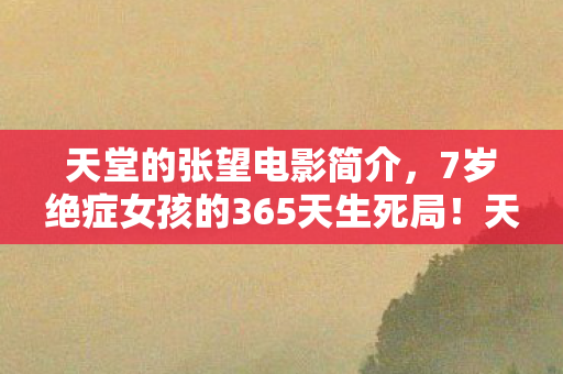 7岁绝症女孩的365天生死局图片