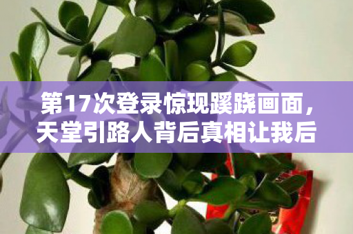 天堂引路人背后真相让我后背发凉图片