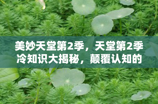 天堂第2季冷知识大揭秘图片