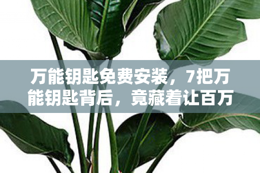竟藏着让百万玩家集体破防的惊天秘密图片