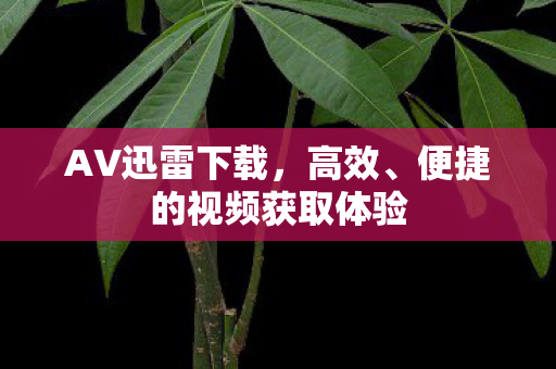 AV迅雷下载,高效、便捷的视频获取体验 AV迅雷下载,高效、便捷的视频获取体验