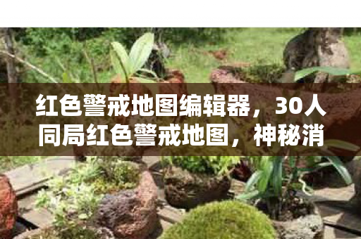 30人同局红色警戒地图图片