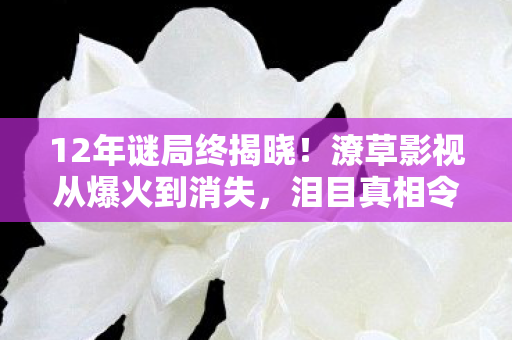 潦草影视从爆火到消失图片