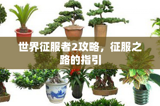 世界征服者2攻略,征服之路的指引 世界征服者2攻略,征服之路的指引