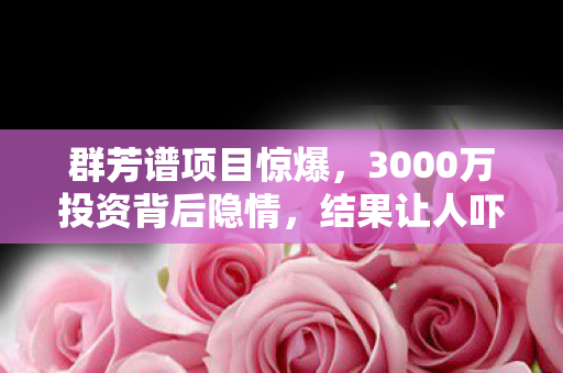 3000万投资背后隐情图片