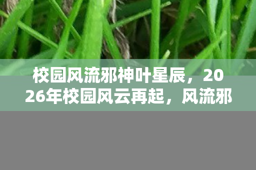 2026年校园风云再起图片