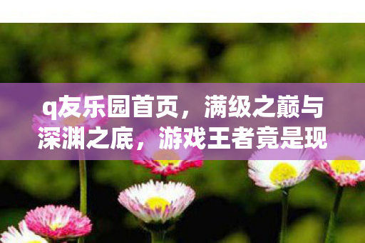 游戏王者竟是现实废物的灵魂悖论图片