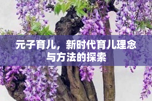 元子育儿,新时代育儿理念与方法的探索 元子育儿,新时代育儿理念与方法的探索