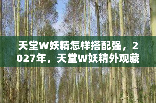 天堂W妖精外观藏的属性图片