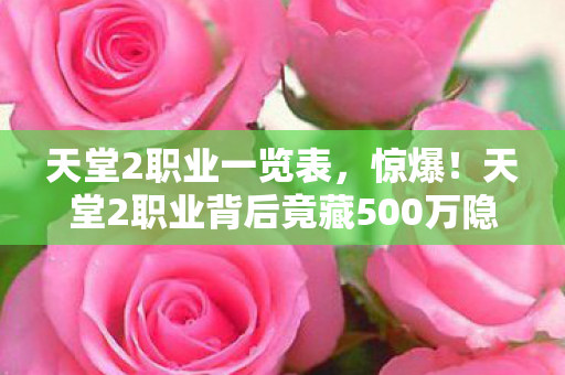 天堂2职业背后竟藏500万隐情图片
