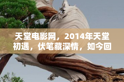 2014年天堂初遇图片