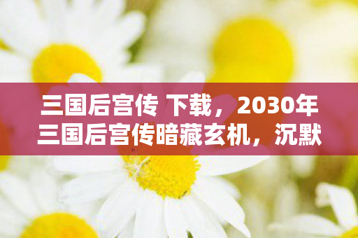 2030年三国后宫传暗藏玄机图片