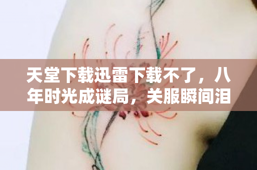 天堂下载的迅雷记忆终成空图片