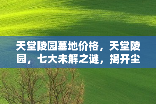揭开尘封十年的终极真相图片