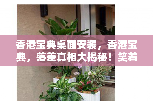 最后却笑着笑着哭了图片