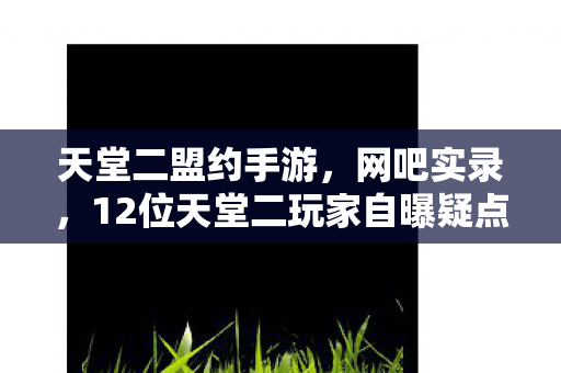 12位天堂二玩家自曝疑点图片