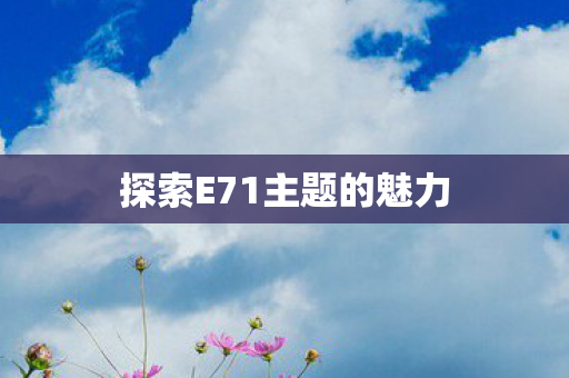 探索E71主题的魅力 探索E71主题的魅力