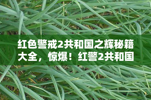 红警2共和国之辉藏500万隐情图片