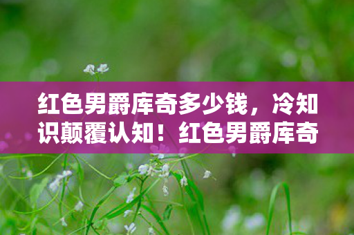 红色男爵库奇竟藏着目瞪口呆的隐形炸弹设计图片