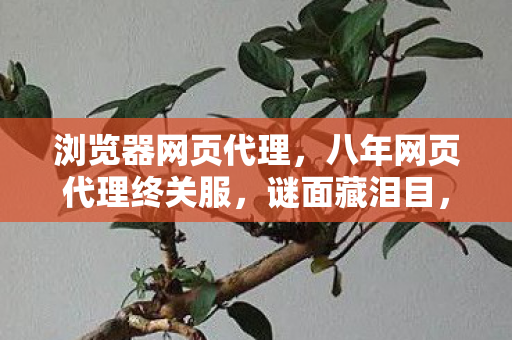 八年网页代理终关服图片