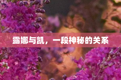 露娜与凯,一段神秘的关系 露娜与凯,一段神秘的关系